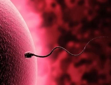 Η «αθώα» συνήθεια που μειώνει τη γονιμότητα των γυναικών